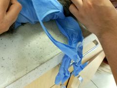 -美联众合动物医院·24h京西诊疗中心