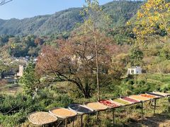 -塔川景区