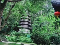 -深圳国际园林花卉博览园