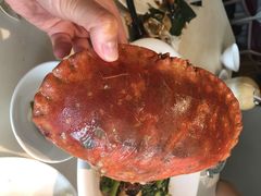 无招牌海鲜餐厅-无招牌海鲜餐厅(滨海艺术中心店)