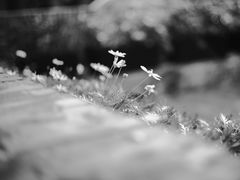 -星光摄影器材城