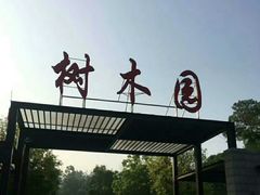 -中山市树木园