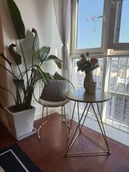 点击看大图 -演员的秘密·皮肤管理