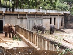 -深圳野生动物园