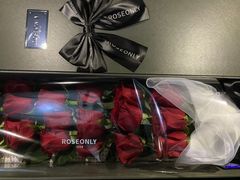 -ROSEONLY诺誓(国际广场购物中心店)