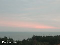 -海口绿发希尔顿酒店-田园汇自助餐·三文鱼·海鲜