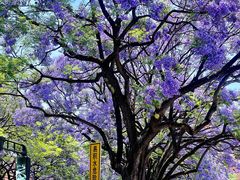 -昆明冠生园·蛋糕·面包(南强街店)