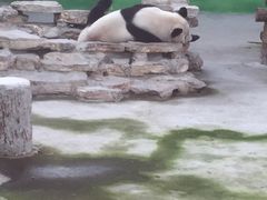 -苏州吴中太湖旅游区
