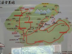 -东澳岛