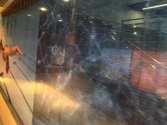 -威尔仕健身·游泳(KING88店)