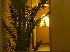 -泰迦·正宗泰式按摩SPA(东城店)