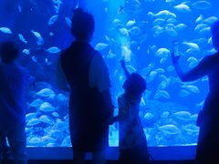 -成都浩海立方海洋公园