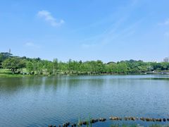 -东莞植物园