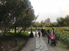 -武汉园博园(武汉自然博物馆)