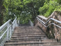 -佛山华盖山公园