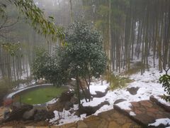 -江南天池高山汤泉城