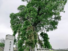 -观潮胜地公园