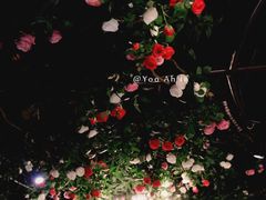 -翠湖湾海鲜音乐餐厅