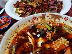 -易老妈蹄花.特色川菜(人民公园总店)