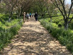 -凤凰沟景区