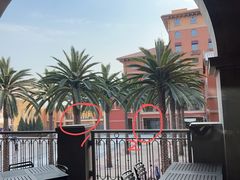 -环球影城莲花园 The Lotus Garden Universal Studios 
