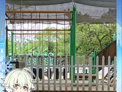 -广州长隆飞鸟乐园