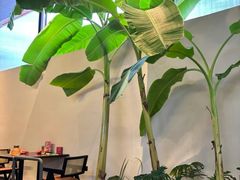 -单家老院·院子里的青岛菜(沙子口店)