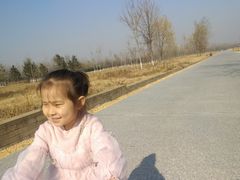 -汉长安城未央宫国家考古遗址公园