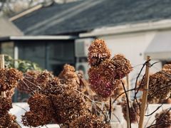 -可可露咖啡店(大东店)