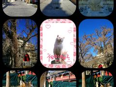 -北京石刻艺术博物馆(五塔寺)