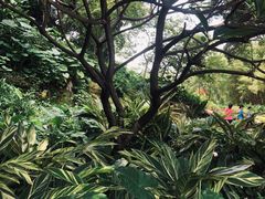 -晓港公园