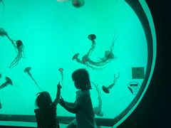 -沈阳海洋探索中心