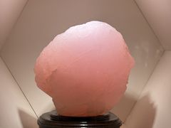 -安徽省地质博物馆