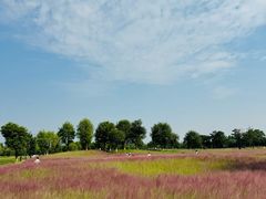 -汉长安城未央宫国家考古遗址公园