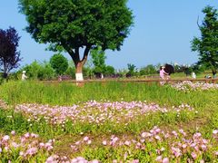 -汉长安城未央宫国家考古遗址公园