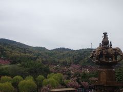 -石岛赤山风景区