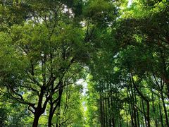 -杭州电子科技大学(下沙校区)