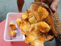 -三亚新鸿港水果一级批发市场