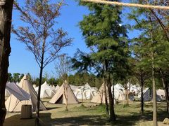 -上海长兴岛郊野公园