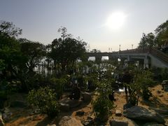 -宝安西湾红树林湿地公园