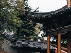 -句容茅山景区