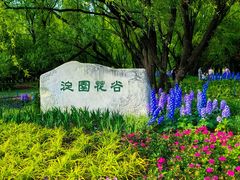 -海淀公园