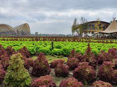 -中国天府农业博览园