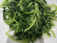 -金枝玉叶上海人家食府(三里河店)