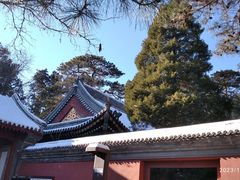-香山公园