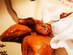 -鸽子侯·家宴·平价海鲜(市图书馆店)