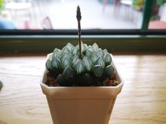 -Catch Bagel(芳草地店)