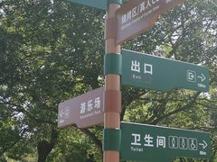 -上海滨江森林公园