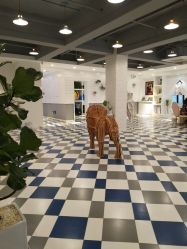 点击看大图 -宝贝天空儿童摄影(花溪店)