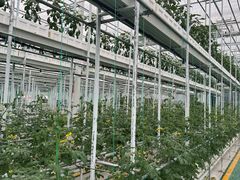 -兰陵国家农业公园